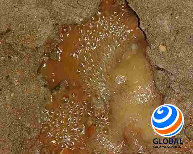 Detecção de Vazamento em Cano Oculto por Fatura Alta